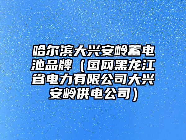 哈爾濱大興安嶺蓄電池品牌（國網黑龍江省電力有限公司大興安嶺供電公司）