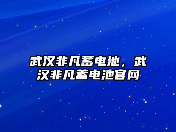 武漢非凡蓄電池，武漢非凡蓄電池官網