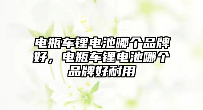 電瓶車鋰電池哪個品牌好，電瓶車鋰電池哪個品牌好耐用