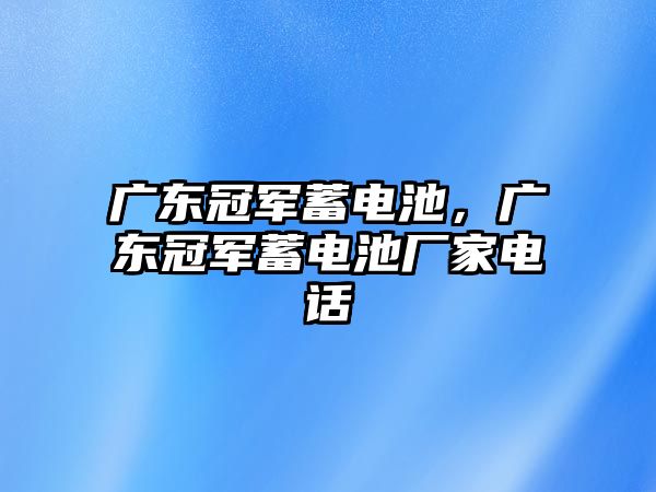 廣東冠軍蓄電池，廣東冠軍蓄電池廠家電話