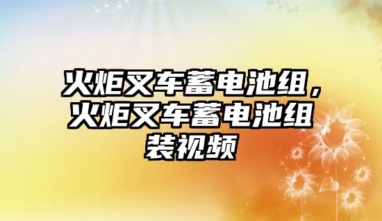 火炬叉車蓄電池組，火炬叉車蓄電池組裝視頻