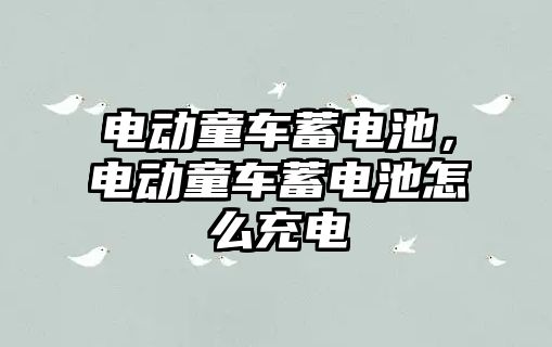 電動童車蓄電池，電動童車蓄電池怎么充電