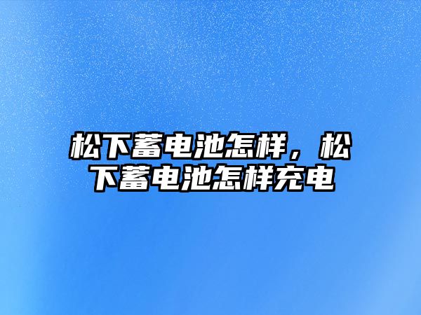 松下蓄電池怎樣，松下蓄電池怎樣充電