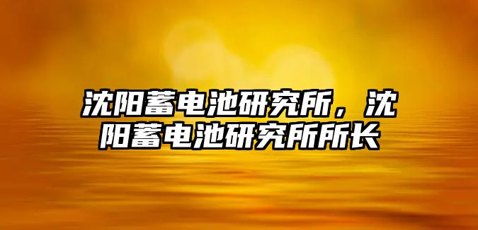 沈陽蓄電池研究所，沈陽蓄電池研究所所長