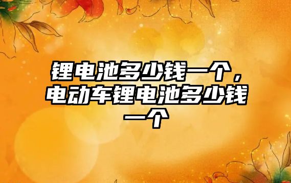 鋰電池多少錢一個，電動車鋰電池多少錢一個