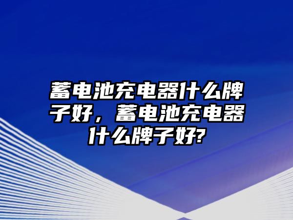 蓄電池充電器什么牌子好，蓄電池充電器什么牌子好?