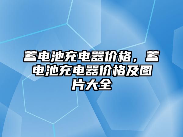 蓄電池充電器價格，蓄電池充電器價格及圖片大全