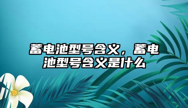 蓄電池型號含義，蓄電池型號含義是什么