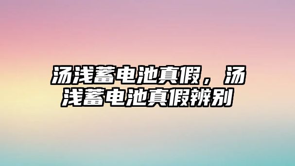 湯淺蓄電池真假，湯淺蓄電池真假辨別