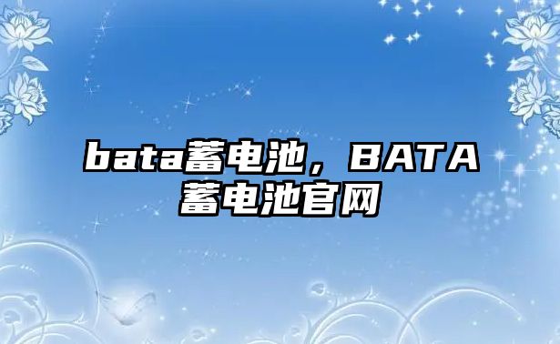 bata蓄電池，BATA蓄電池官網