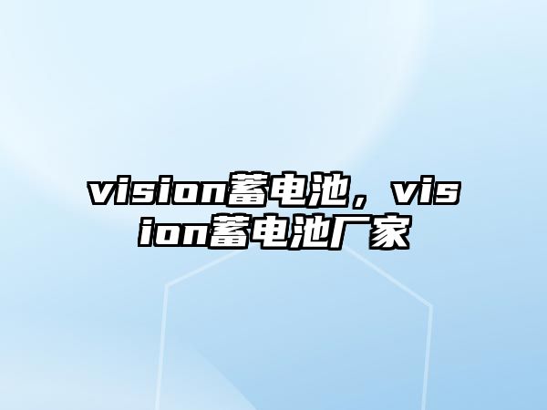 vision蓄電池，vision蓄電池廠家