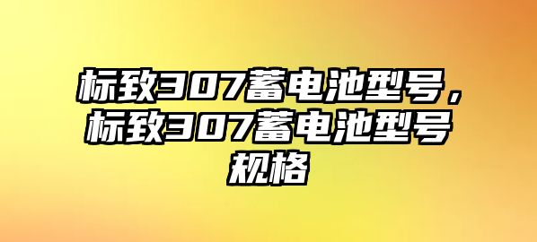 標致307蓄電池型號，標致307蓄電池型號規格