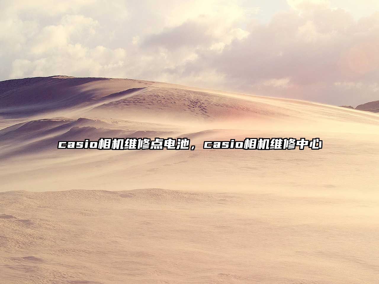 casio相機維修點電池，casio相機維修中心