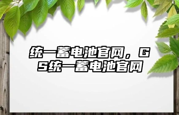 統一蓄電池官網，GS統一蓄電池官網