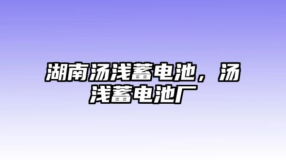 湖南湯淺蓄電池，湯淺蓄電池廠