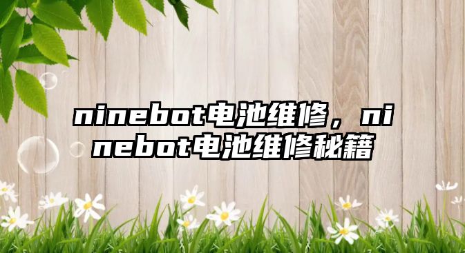 ninebot電池維修，ninebot電池維修秘籍