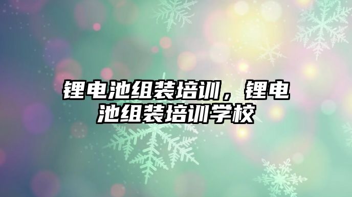 鋰電池組裝培訓，鋰電池組裝培訓學校