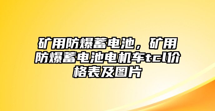 礦用防爆蓄電池，礦用防爆蓄電池電機(jī)車tcl價(jià)格表及圖片