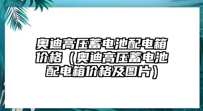 奧迪高壓蓄電池配電箱價格（奧迪高壓蓄電池配電箱價格及圖片）