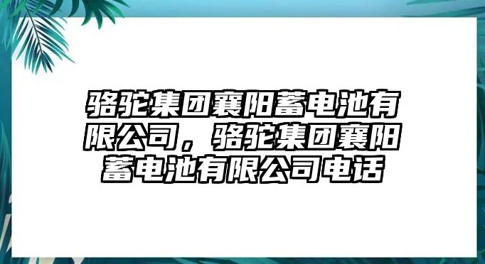 駱駝集團(tuán)襄陽(yáng)蓄電池有限公司，駱駝集團(tuán)襄陽(yáng)蓄電池有限公司電話