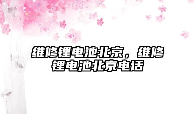 維修鋰電池北京，維修鋰電池北京電話