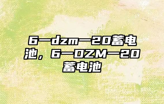 6一dzm一20蓄電池，6一DZM一20蓄電池