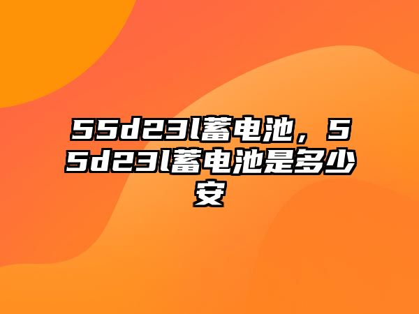 55d23l蓄電池，55d23l蓄電池是多少安