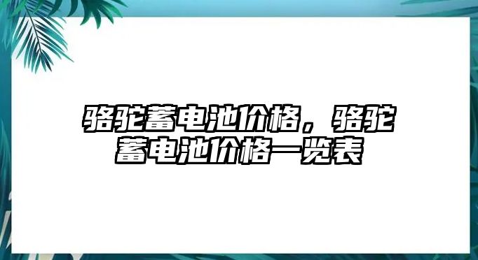 駱駝蓄電池價格，駱駝蓄電池價格一覽表