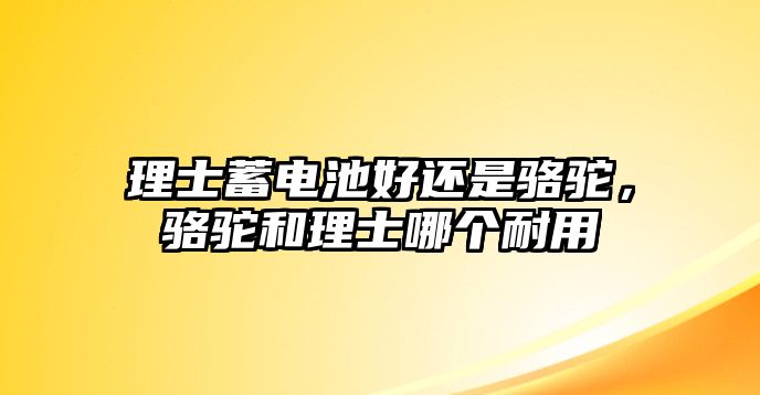 理士蓄電池好還是駱駝，駱駝和理士哪個(gè)耐用