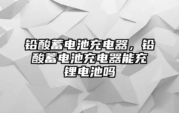 鉛酸蓄電池充電器，鉛酸蓄電池充電器能充鋰電池嗎