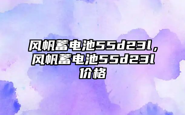 風(fēng)帆蓄電池55d23l，風(fēng)帆蓄電池55d23l價格