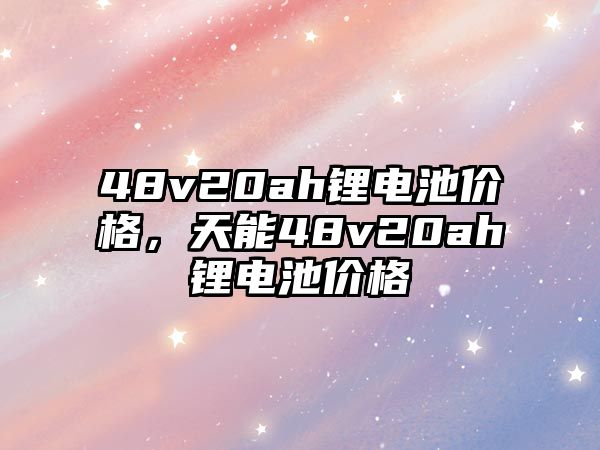 48v20ah鋰電池價格，天能48v20ah鋰電池價格