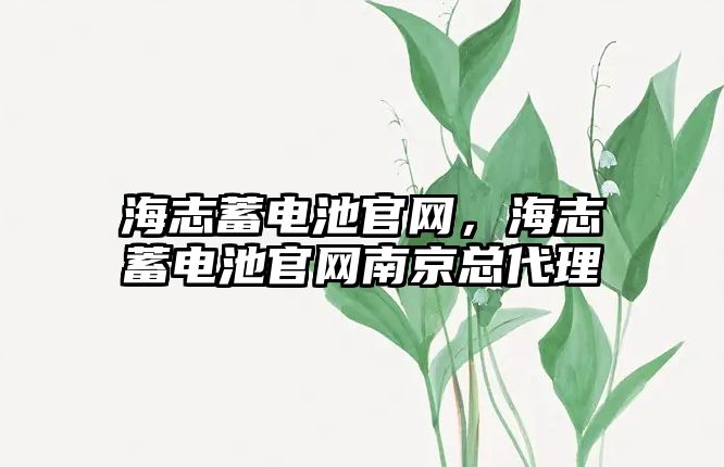 海志蓄電池官網，海志蓄電池官網南京總代理