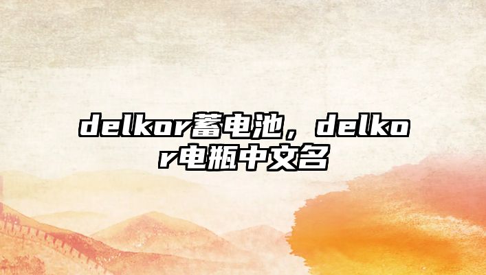 delkor蓄電池，delkor電瓶中文名