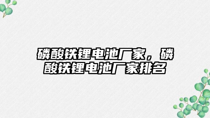 磷酸鐵鋰電池廠家，磷酸鐵鋰電池廠家排名