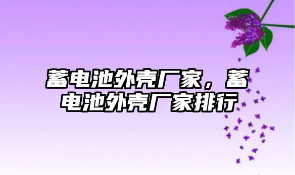 蓄電池外殼廠家，蓄電池外殼廠家排行