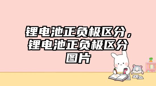 鋰電池正負極區分，鋰電池正負極區分圖片