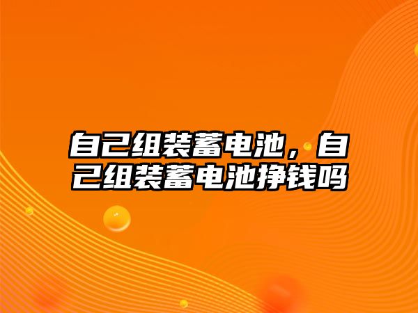 自己組裝蓄電池，自己組裝蓄電池掙錢(qián)嗎