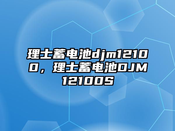 理士蓄電池djm12100，理士蓄電池DJM12100S