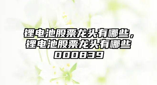 鋰電池股票龍頭有哪些，鋰電池股票龍頭有哪些000839