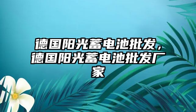 德國陽光蓄電池批發，德國陽光蓄電池批發廠家