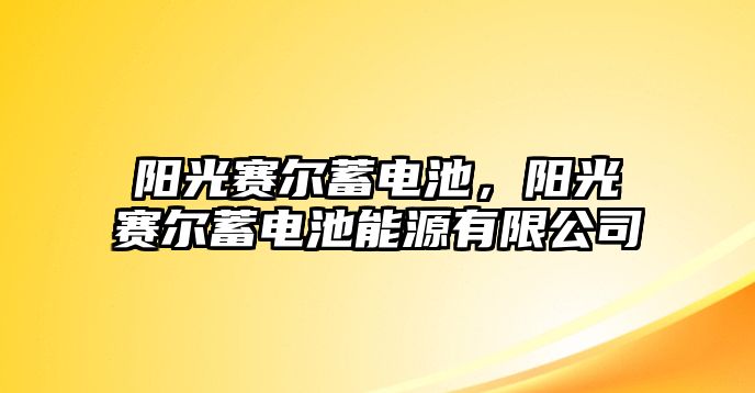 陽光賽爾蓄電池，陽光賽爾蓄電池能源有限公司