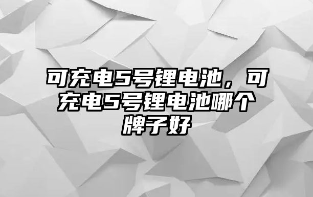 可充電5號鋰電池，可充電5號鋰電池哪個牌子好