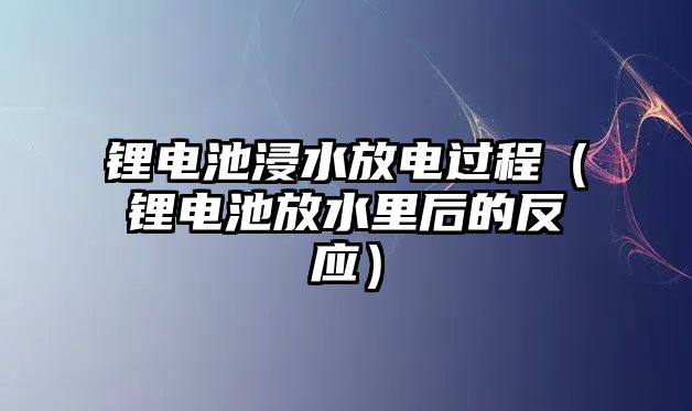 鋰電池浸水放電過程（鋰電池放水里后的反應）