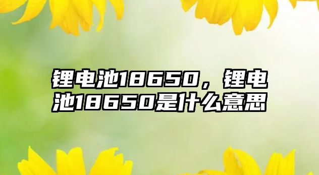 鋰電池18650，鋰電池18650是什么意思