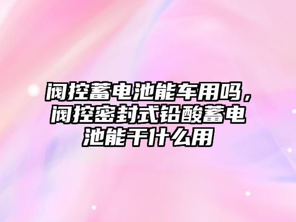 閥控蓄電池能車用嗎，閥控密封式鉛酸蓄電池能干什么用