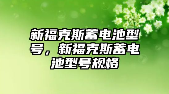 新福克斯蓄電池型號，新福克斯蓄電池型號規格