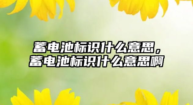 蓄電池標識什么意思，蓄電池標識什么意思啊