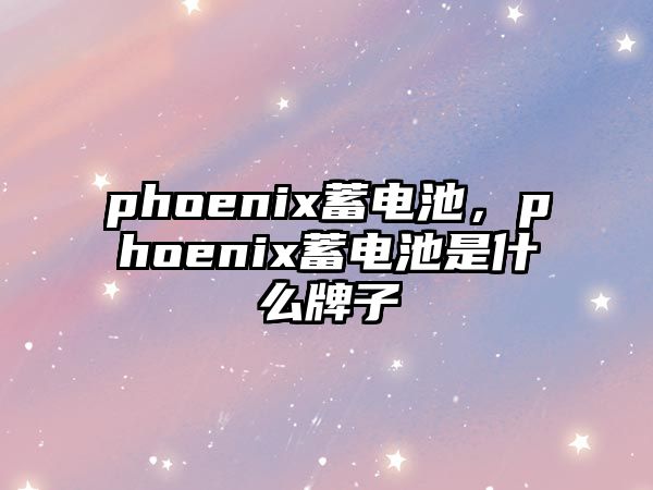 phoenix蓄電池，phoenix蓄電池是什么牌子