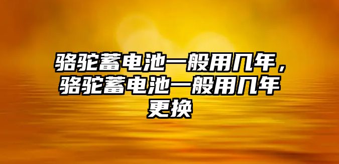 駱駝蓄電池一般用幾年，駱駝蓄電池一般用幾年更換